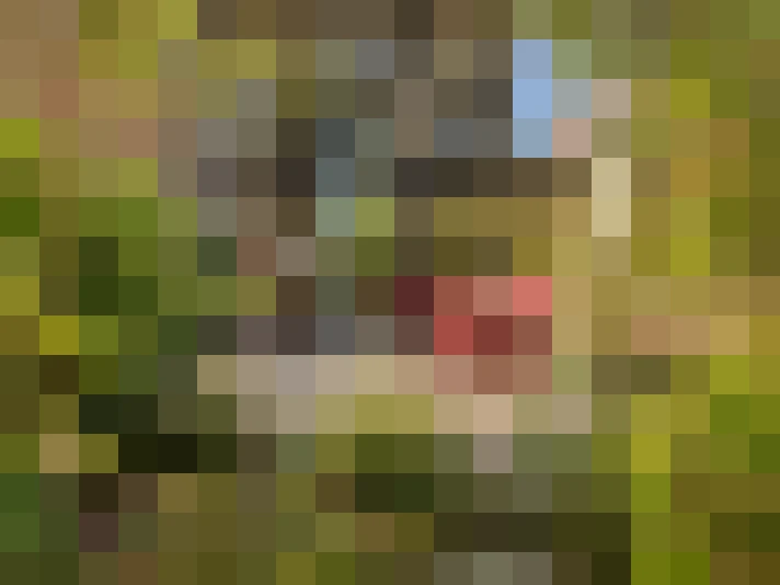  / #16
