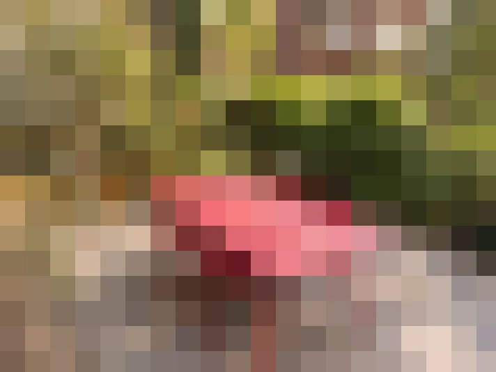  / #15
