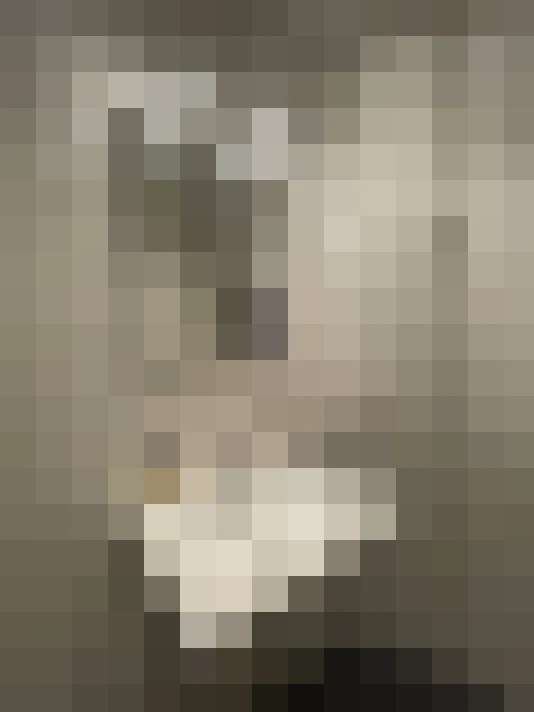  / #15