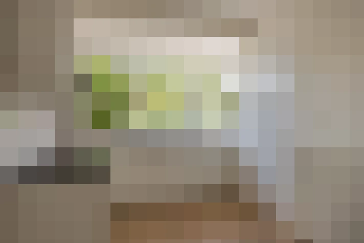  / #17