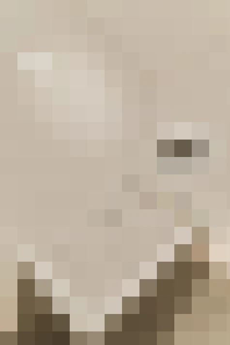  / #23
