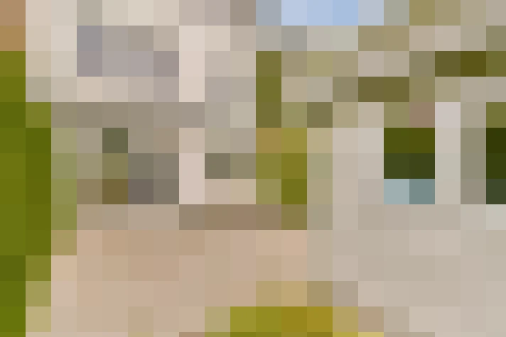  / #18
