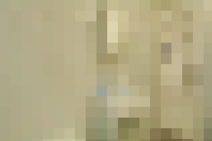  / #15