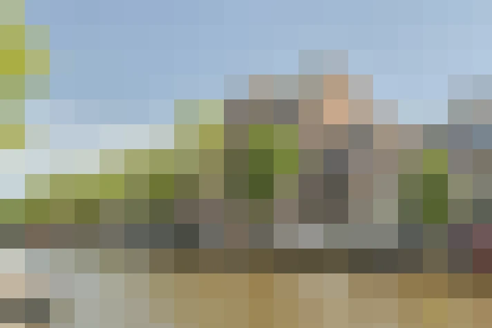  / #7