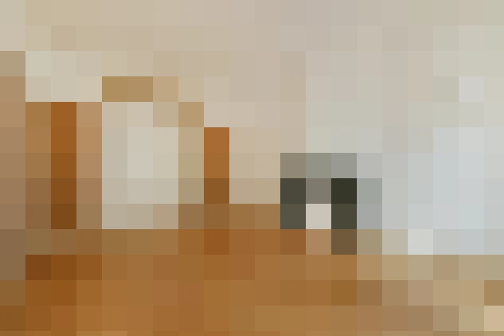  / #19