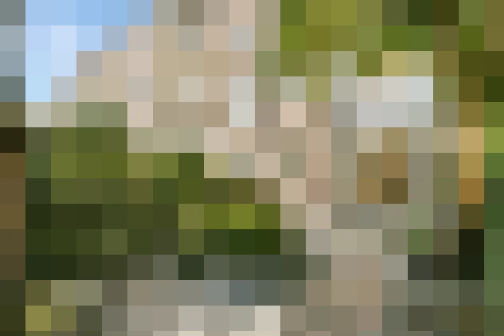  / #17