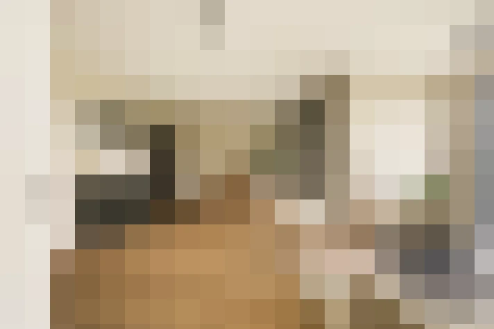  / #17