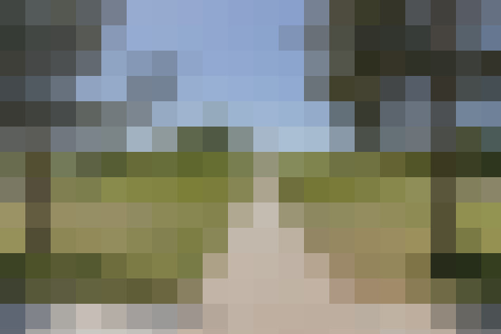  / #16