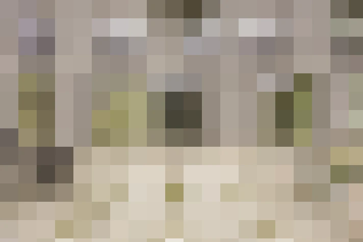  / #16