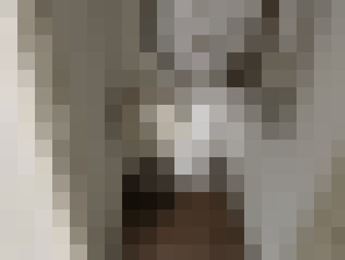  / #13