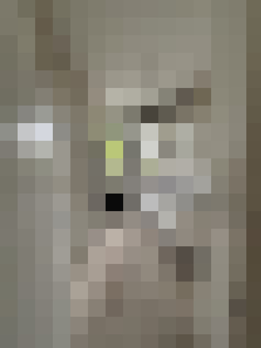  / #9