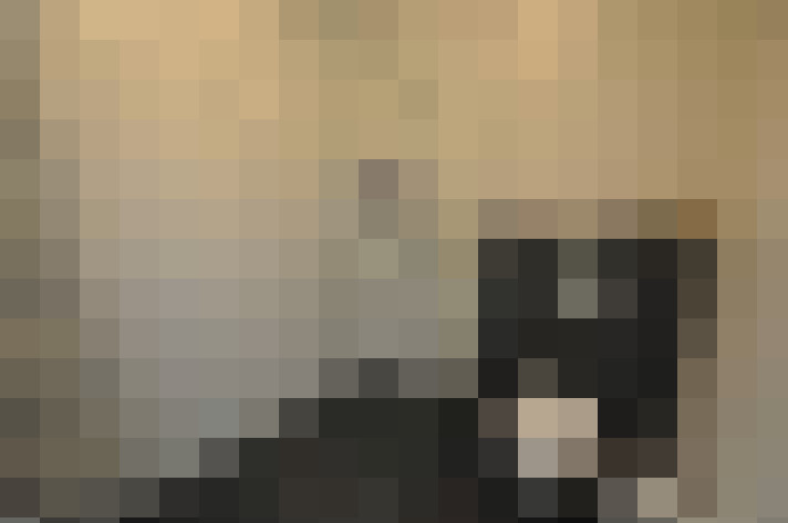  / #14
