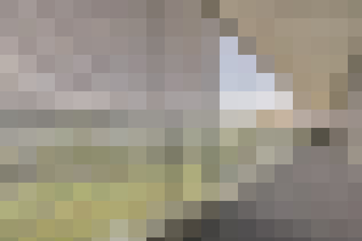  / #19