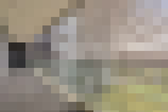  / #20