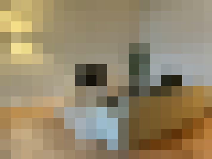  / #8