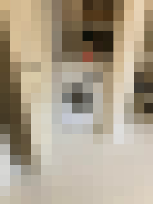  / #13