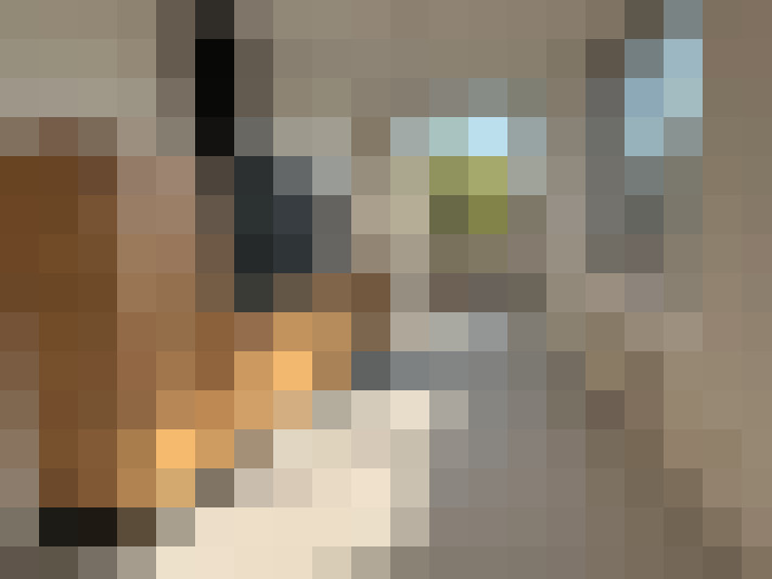  / #5