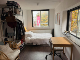 Room in 's-Gravenhage