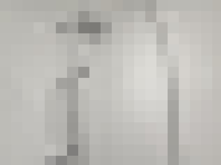  / #14