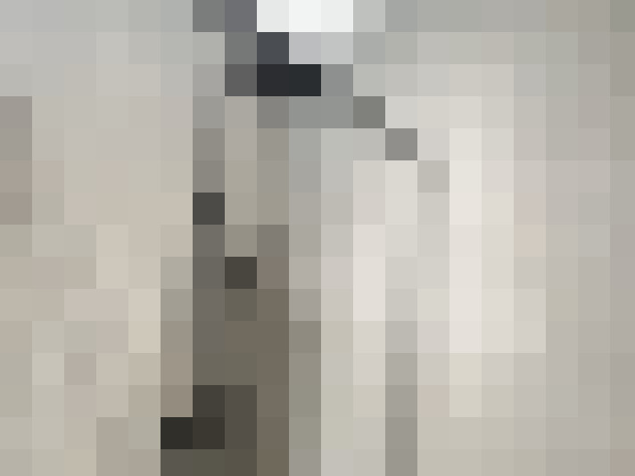  / #14