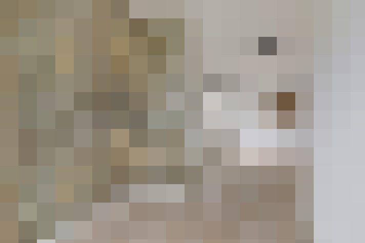  / #12