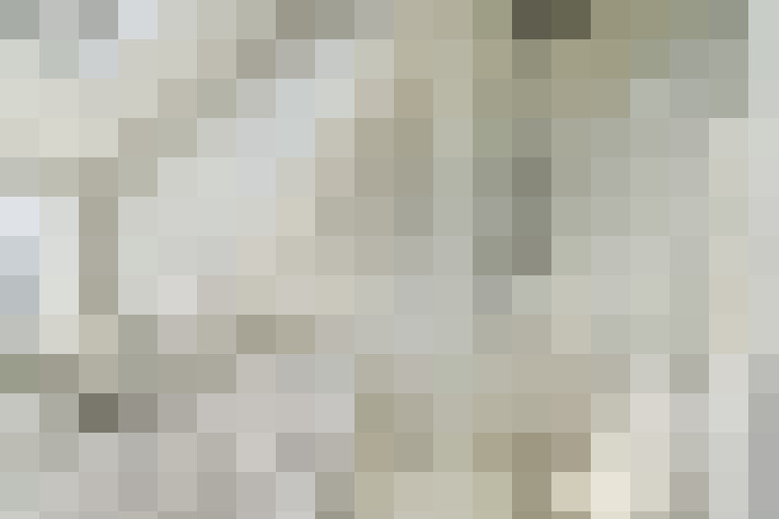  / #19