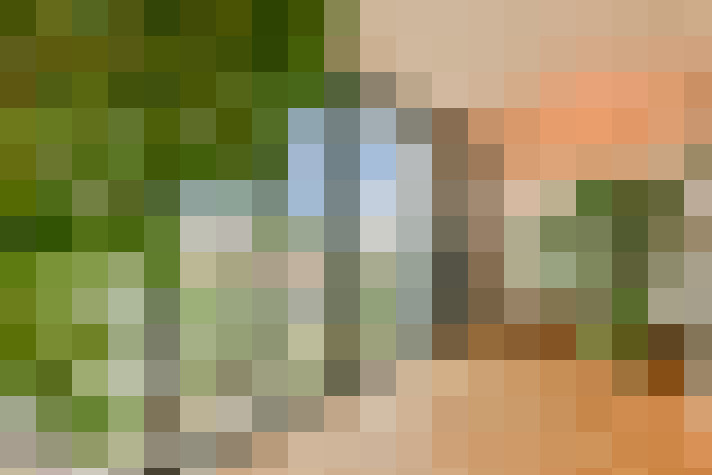  / #17