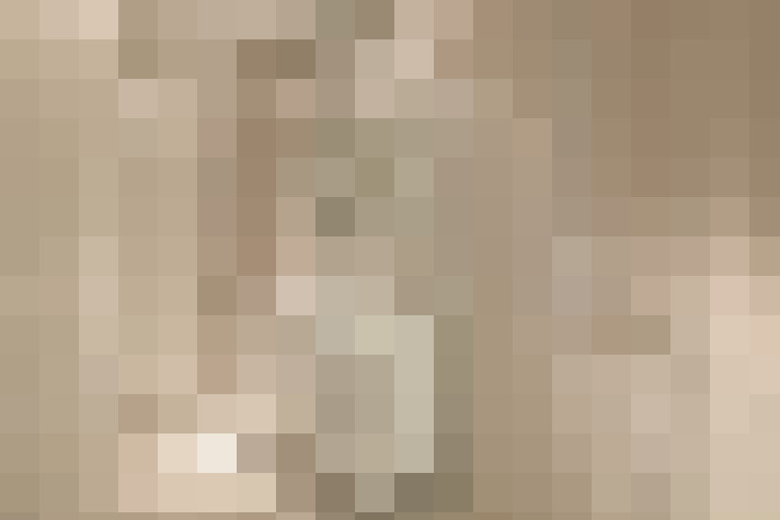  / #21