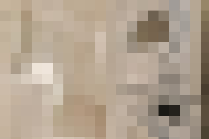  / #20