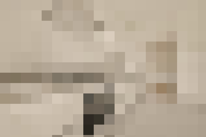  / #16