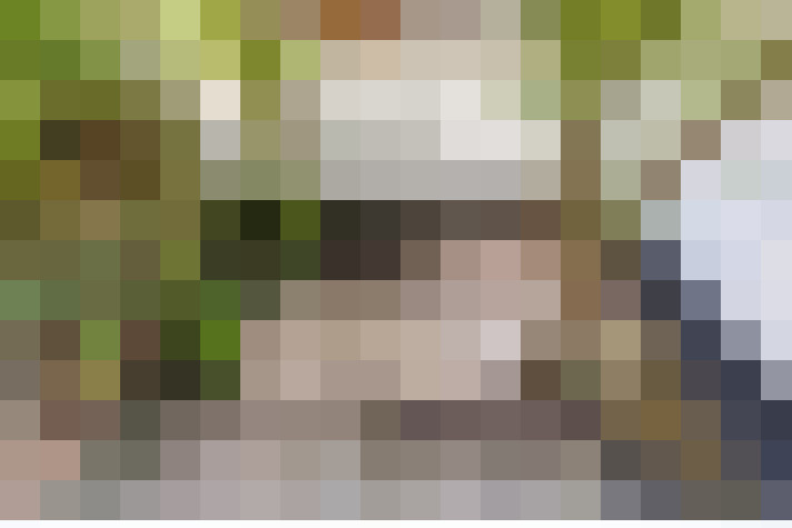  / #14