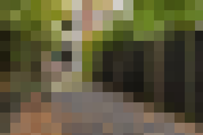 / #17