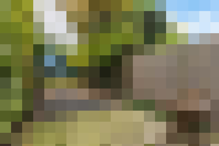  / #16