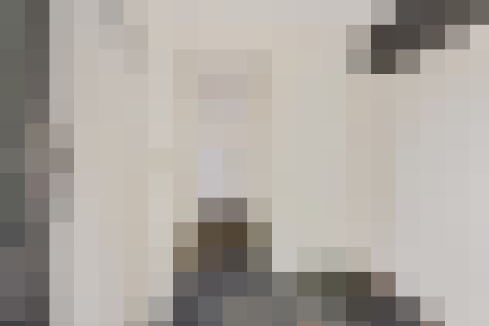  / #24