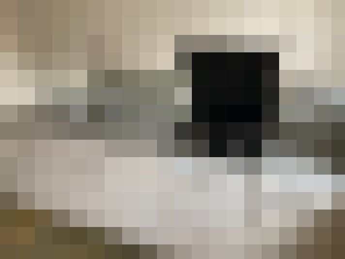  / #16