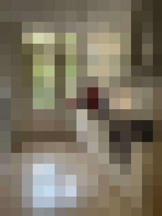  / #15