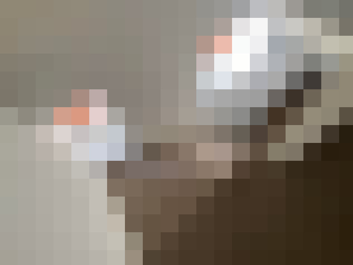  / #23