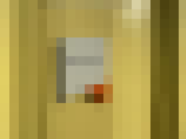  / #6