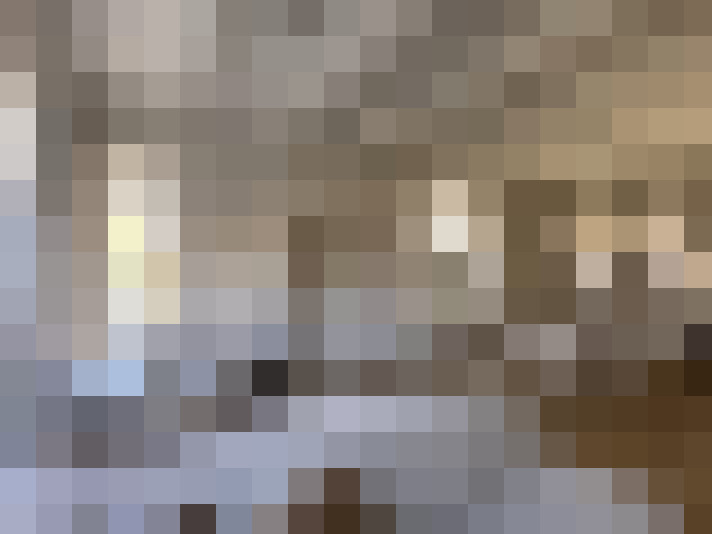  / #15