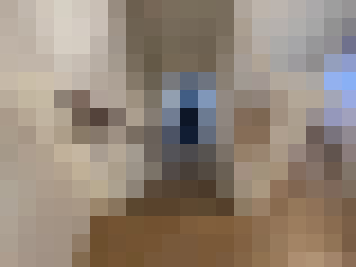  / #8