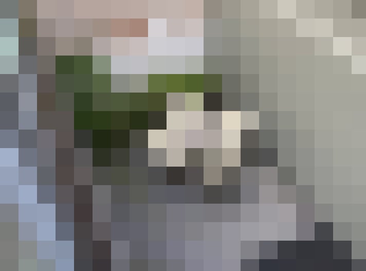 Image 24