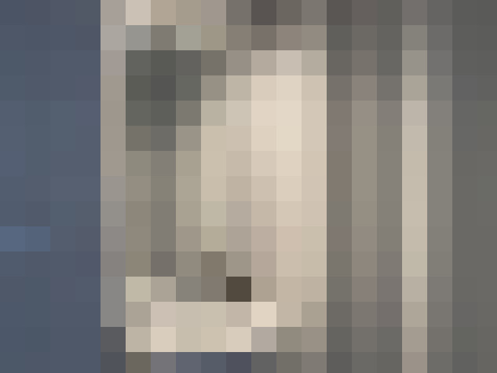 Image 22