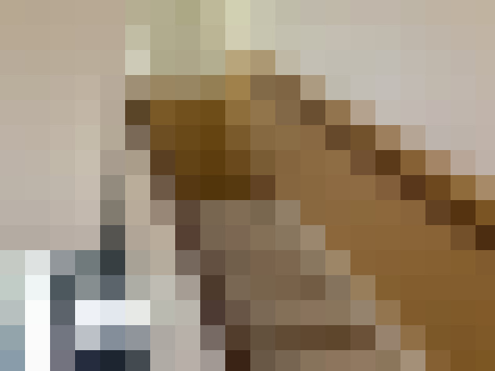  / #13