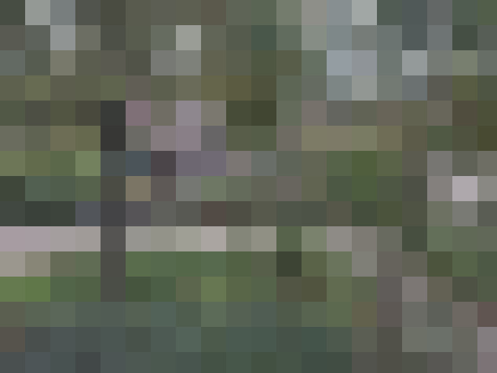  / #13