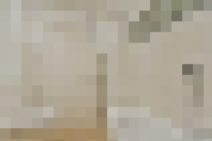  / #23