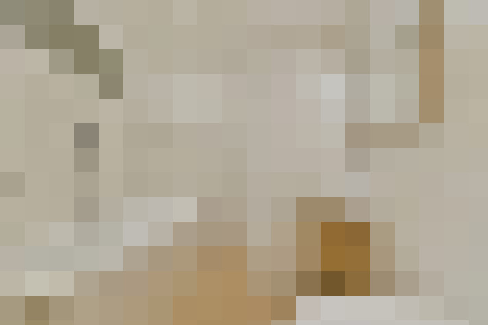  / #21