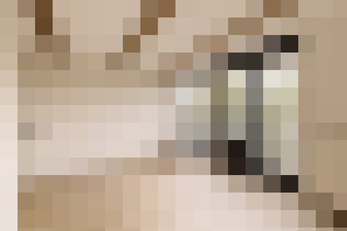  / #23