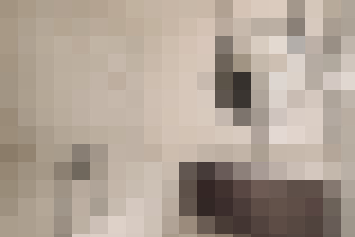  / #17