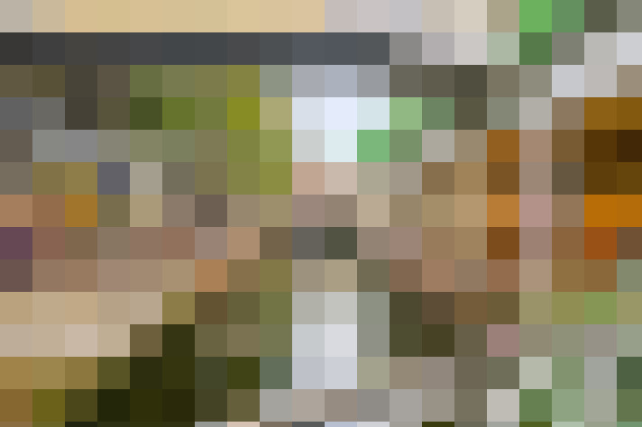  / #22
