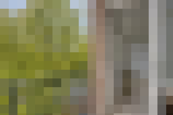  / #18